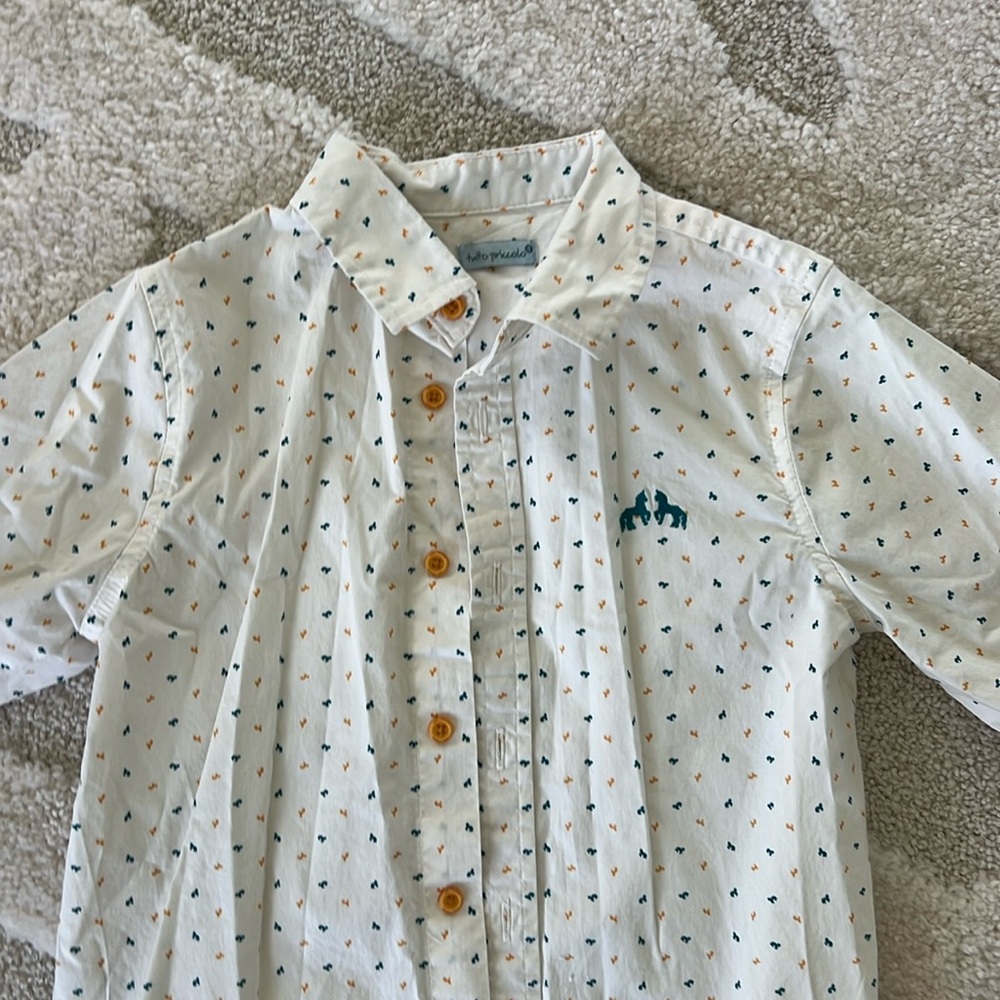 Tutto Piccolo dress shirt size 8